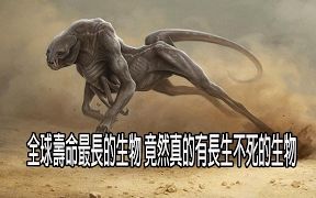 [图]（中文字幕）全球寿命最长的生物竟然真的有长生不死的生物