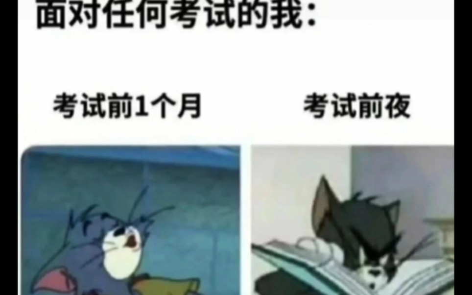 [图]“人间真实网络沙雕梗图”