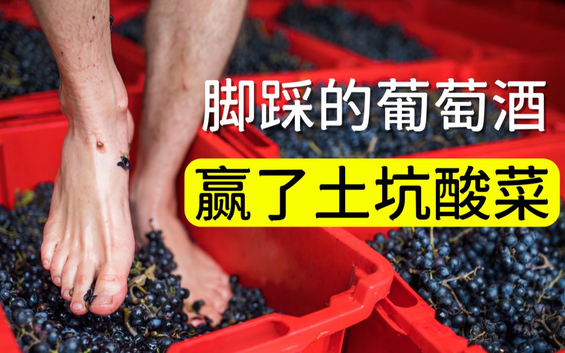 活动作品同样是脚踩为什么脚踩的葡萄酒人见人爱