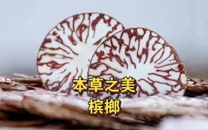 本草之美：中药炮制百刀槟榔