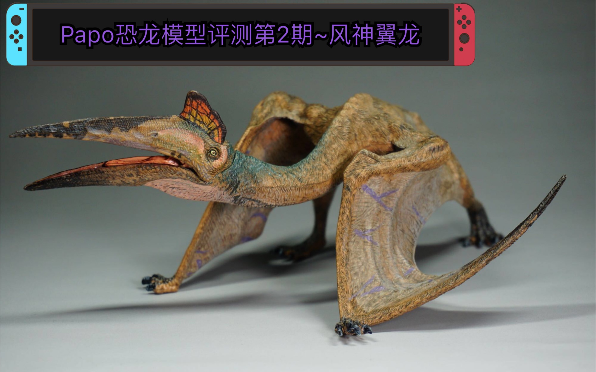 活动作品法国papo风神翼龙恐龙模型评测