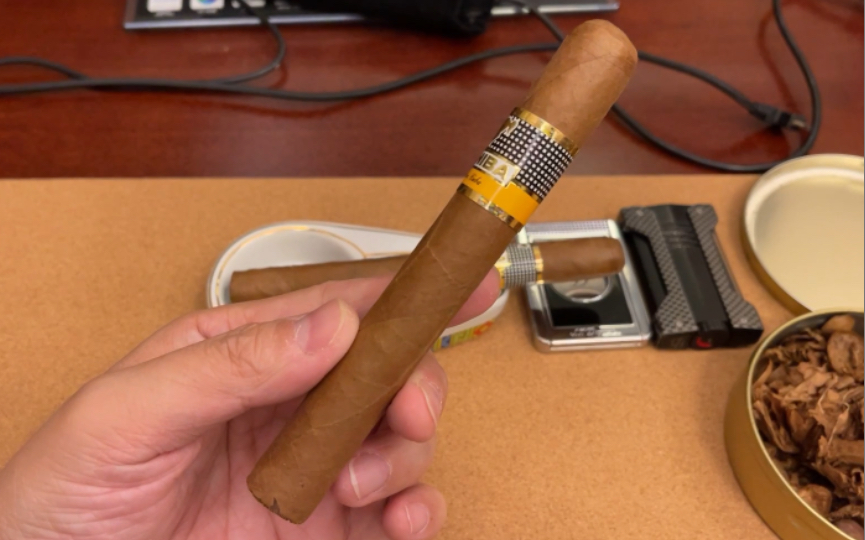 雪茄评测:Cohiba:Siglo IV,高希霸 世纪4,长度143mm 环径46,强度2.8 浓郁度2.8,抽了两根都有点堵,味道似乎比世纪3更重口一点哔哩哔哩bilibili