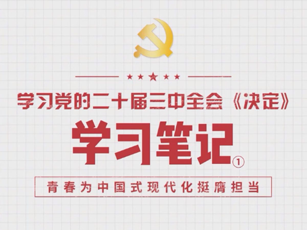 学习党的二十届三中全会《决定》学习笔记①哔哩哔哩bilibili