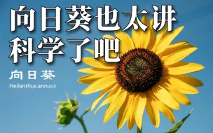 Download Video: 向日葵也太讲科学了吧