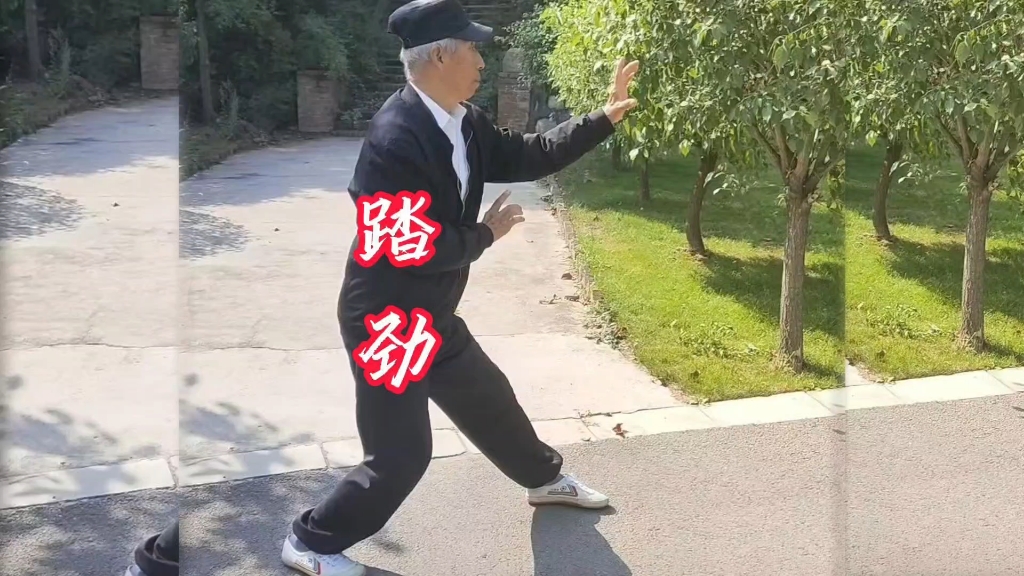 形意拳“踏劲”如何练?踏劲是“弓劲,搓劲与钉劲”的三合劲#形意拳 #传武 #内功 #形意 #中华武术博大精深哔哩哔哩bilibili