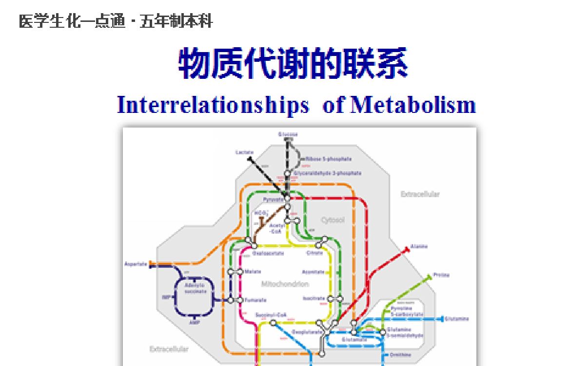 [图]物质代谢的联系