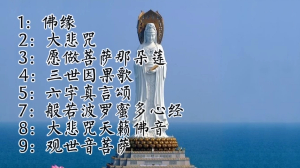 1:佛缘2:大悲咒3:愿做菩萨那朵莲4:三世因果歌5:六字真言颂7:般若波罗