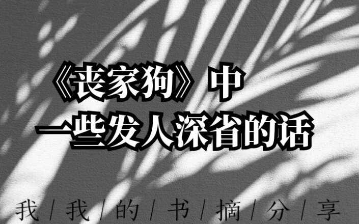 ＂任何怀抱理想,在现实世界找不到精神家园的人,都是丧家狗＂/李零《丧家狗》/我我的书摘分享哔哩哔哩bilibili