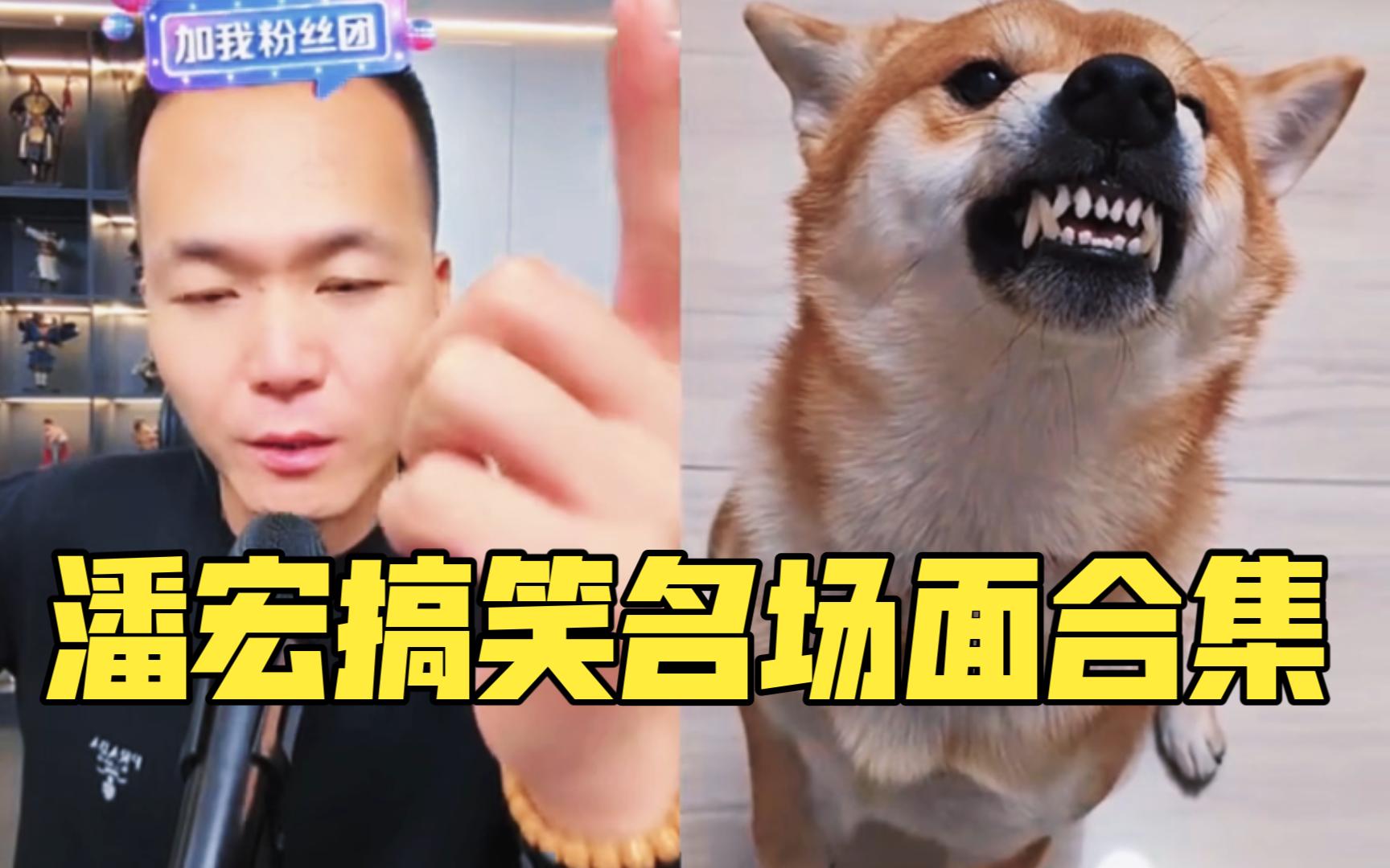 潘宏搞笑名场面合集。看完不笑算我输!-潘宏爱玩狗--潘宏爱玩狗--哔哩哔哩视频