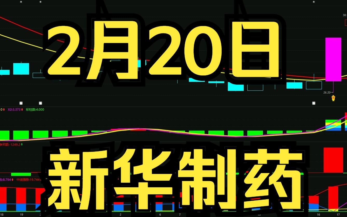 2.20新华制药:最新主力资金情况,如何判断低吸高抛?哔哩哔哩bilibili