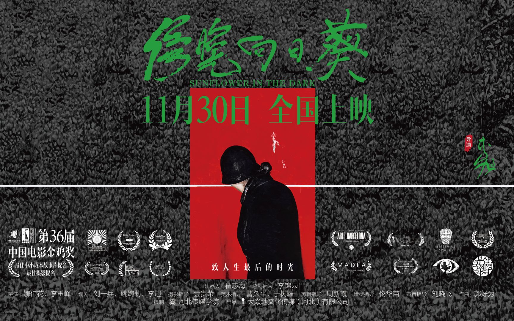电影《傍晚向日葵》定档11月30日 以生命之诗看见过去和未来