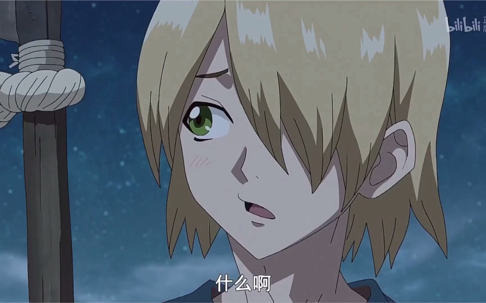 【石纪元】轮到银狼给你洗脑了!