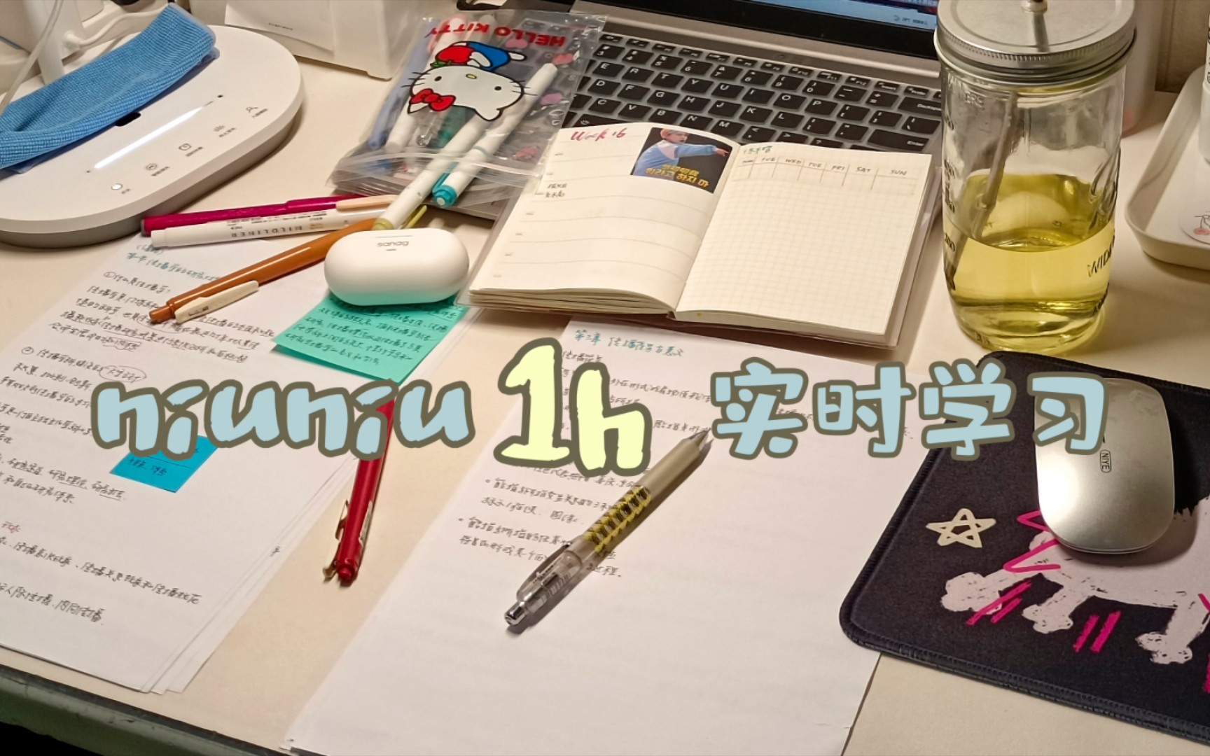 Niu：1h实时学习/开始学了才会有状态/期末笔记整理/敲键盘声/翻书声/study with me-niuniu很牛-niuniu很牛-哔哩哔哩视频