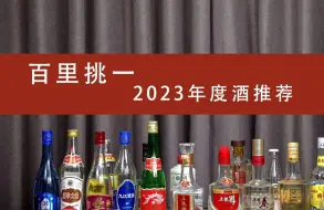 下载视频: 白酒元年度总结，百里挑一，总结2023年让我印象深刻的好酒