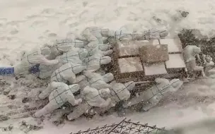 Download Video: 大连海洋大学师生志愿者顶风冒雪送防疫物资 雪中留下最美背影！