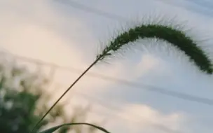 下载视频: 工业设计打工人见客户的一天。没有工作，只有夏日漫长的清晨与午后。