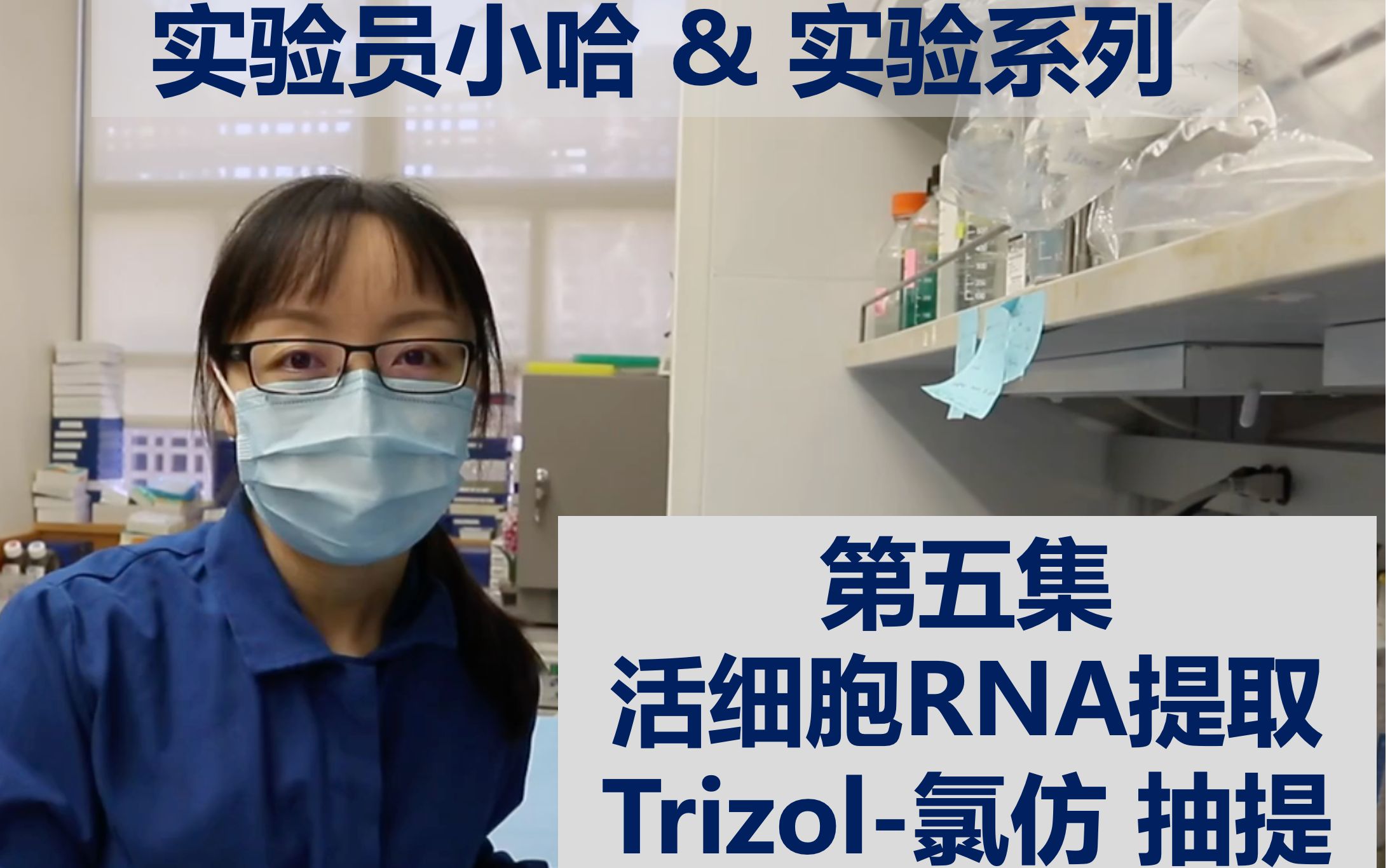 [图]实验员小哈&实验系列 - 第五集 - 活细胞RNA的传统提取方法-Trizol-氯仿抽提