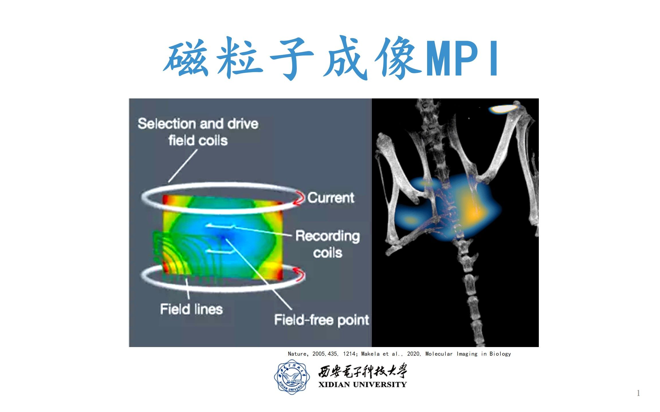 磁粒子成像简介哔哩哔哩bilibili