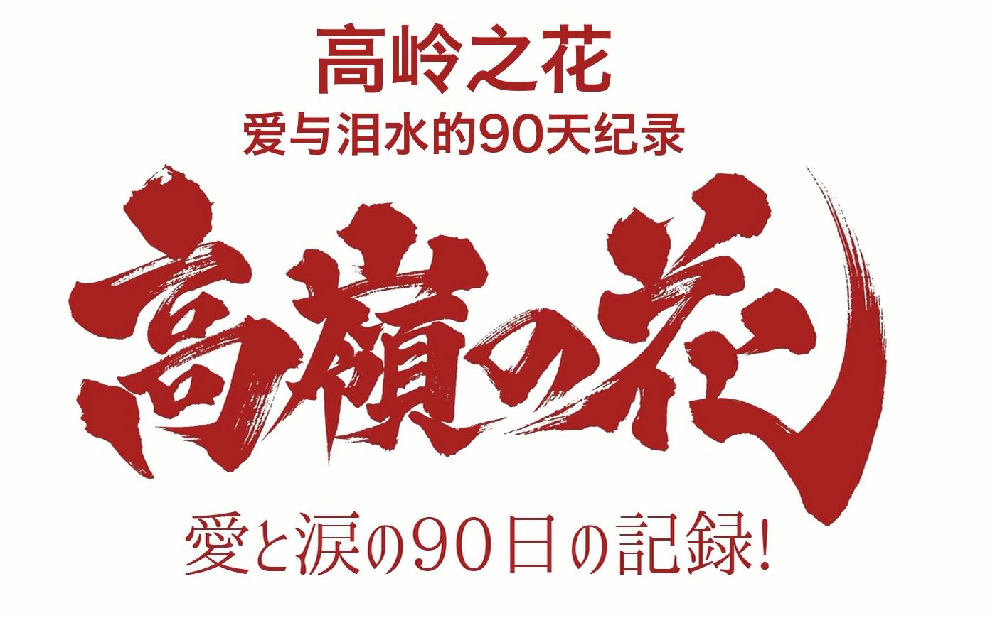 【十块钱字幕组】石原里美主演日剧「高岭之花」制作特辑哔哩哔哩bilibili