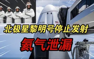 Download Video: 紧急通知！SpaceX北极星黎明号终止发射！马斯克表示：快速断开脐带地面氦气泄漏！猎鹰9号火箭和龙飞船监测数据健康！发射被迫延迟取消！将不早于8月28日发射！