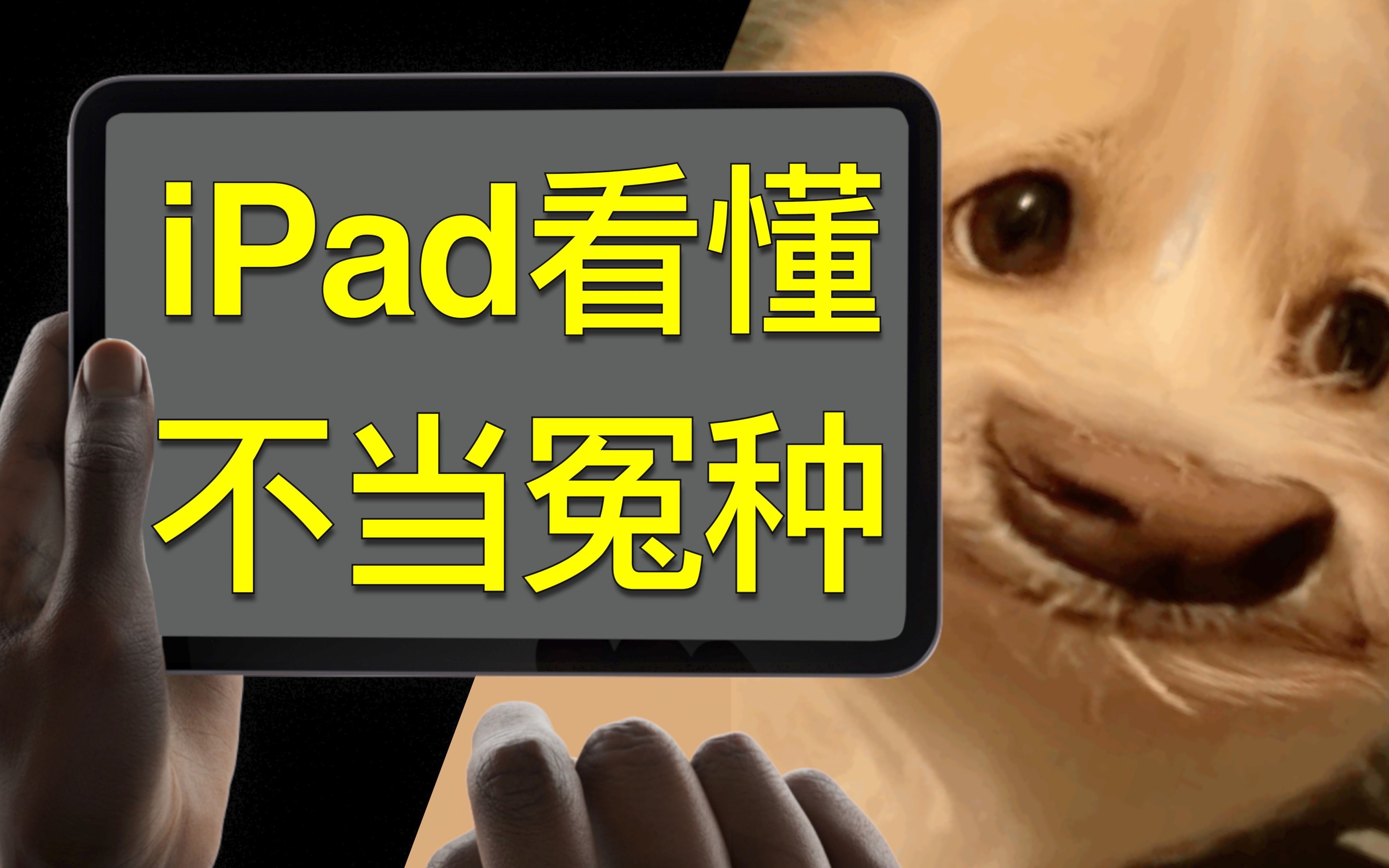 [图]全系iPad该怎么选？教你看懂！不当冤种！｜建议收藏