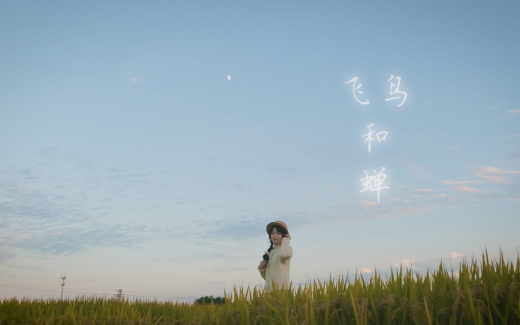 稻田飞鸟和蝉