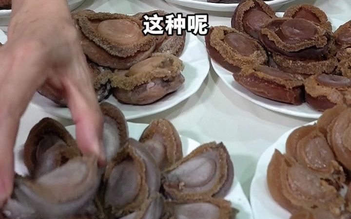 干鲍都有哪些?分享几款德叔常用干鲍哔哩哔哩bilibili