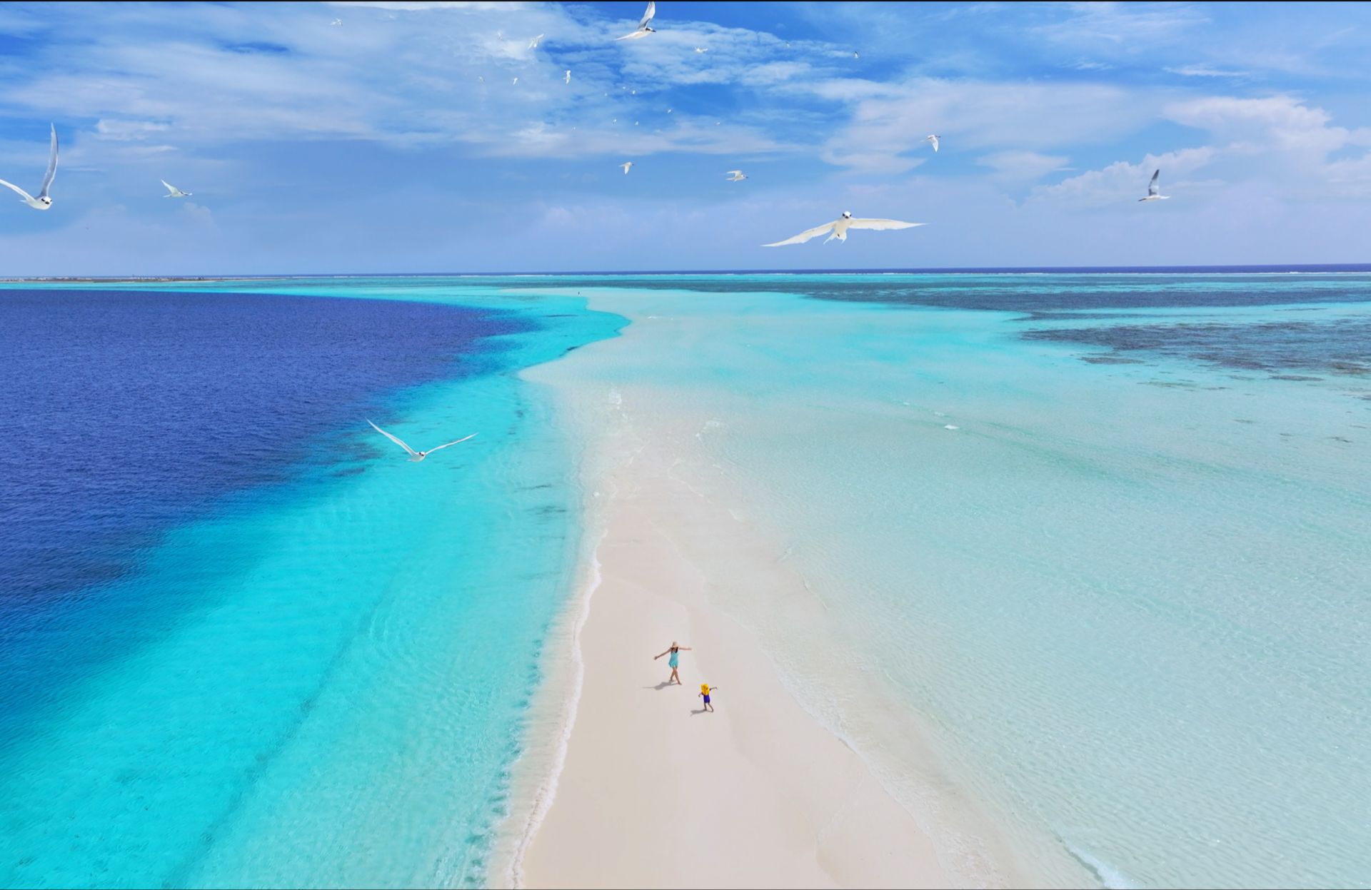 马尔代夫亲子行-他最爱的就是蓝色--lingchen---lingchen--哔哩哔哩