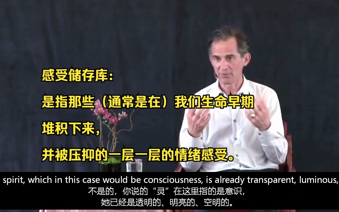 [图]【中英】让情绪感受消融在意识之光里Dissolving Feelings in the Light of AwarenessRupert Spira鲁伯特斯彼拉