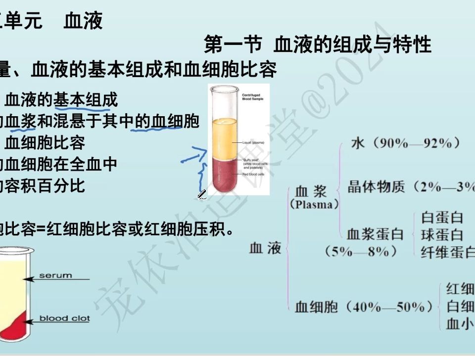 [图]2024执业兽医资格考试生理学第三单元