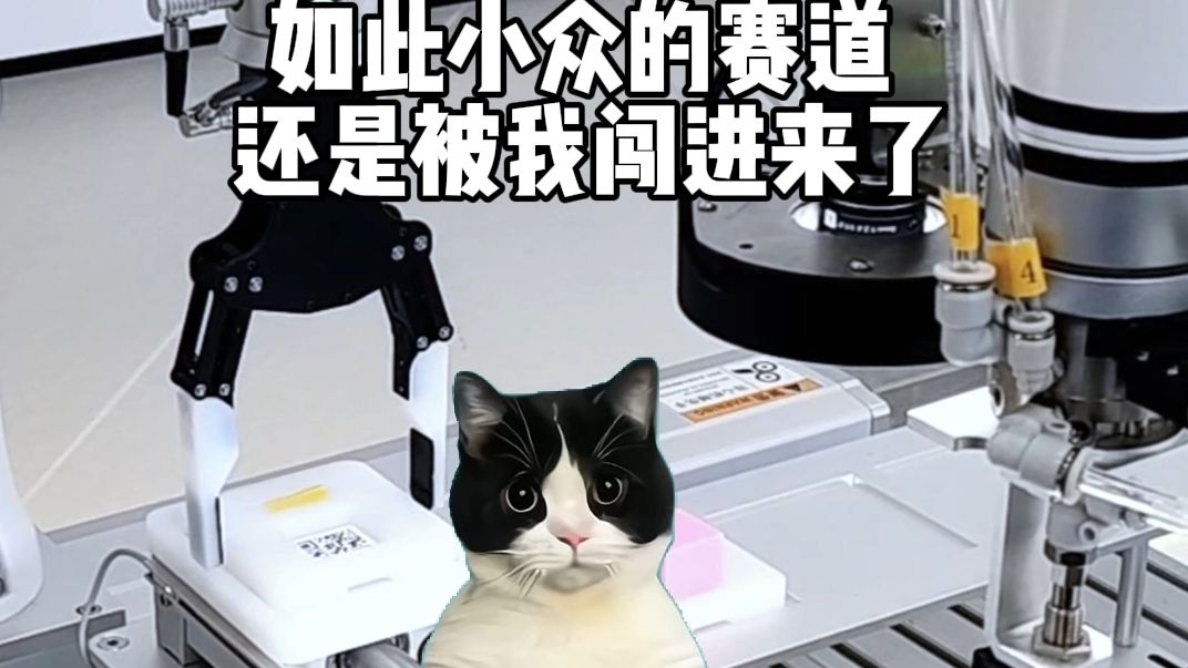 我应该是全网最后一个发猫meme的运营了,猫meme重生之我在高新技术公司做运营!哔哩哔哩bilibili