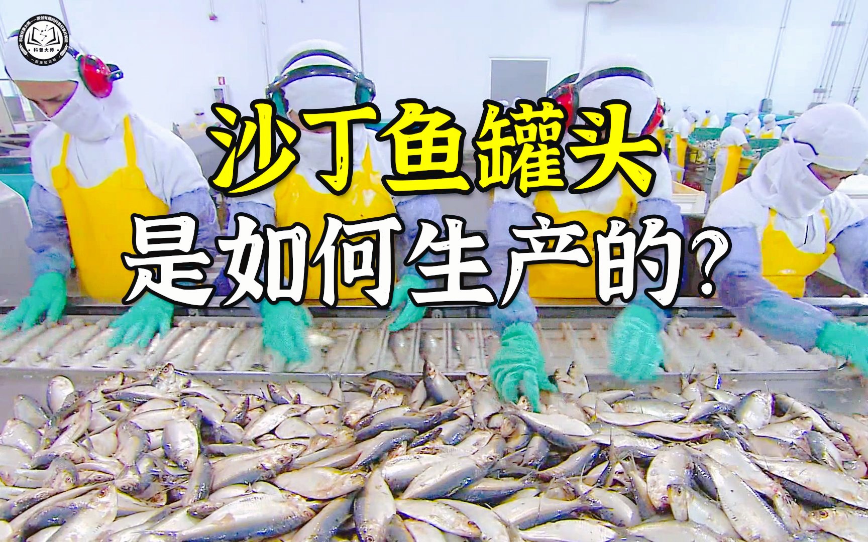 沙丁鱼罐头是如何生产的?先切掉鱼的头尾,再装罐后送进烤箱烹调哔哩哔哩bilibili