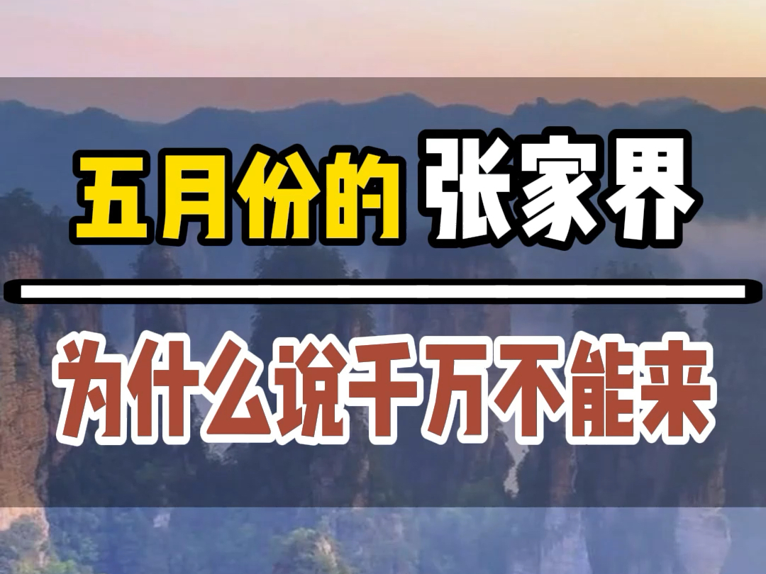 千万不要5月份来张家界,因为此时过来又看不完的云海,数不尽的奇峰,如果您一定要来,每人带够1000块,落地张家界#张家界旅游攻略 #张家界天门山 ...