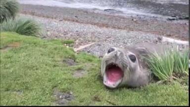 AAAAAAAAAAAAAAAAAAA