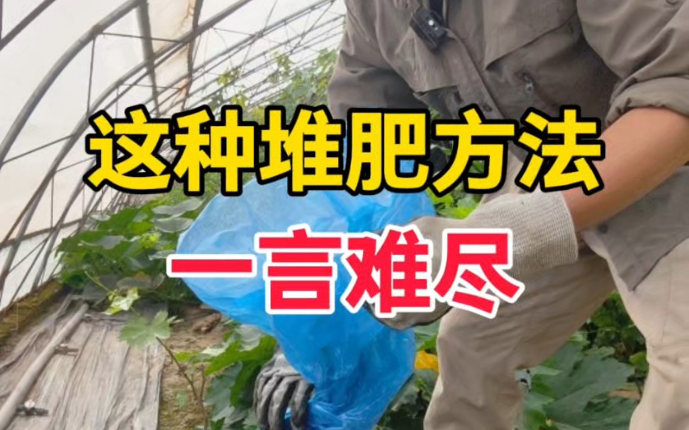 清道夫肥力表现怎样?展示来了。为啥我不喜欢厌氧堆肥,看看这样子。-瘦叔堆肥-瘦叔堆肥-哔哩哔哩视频