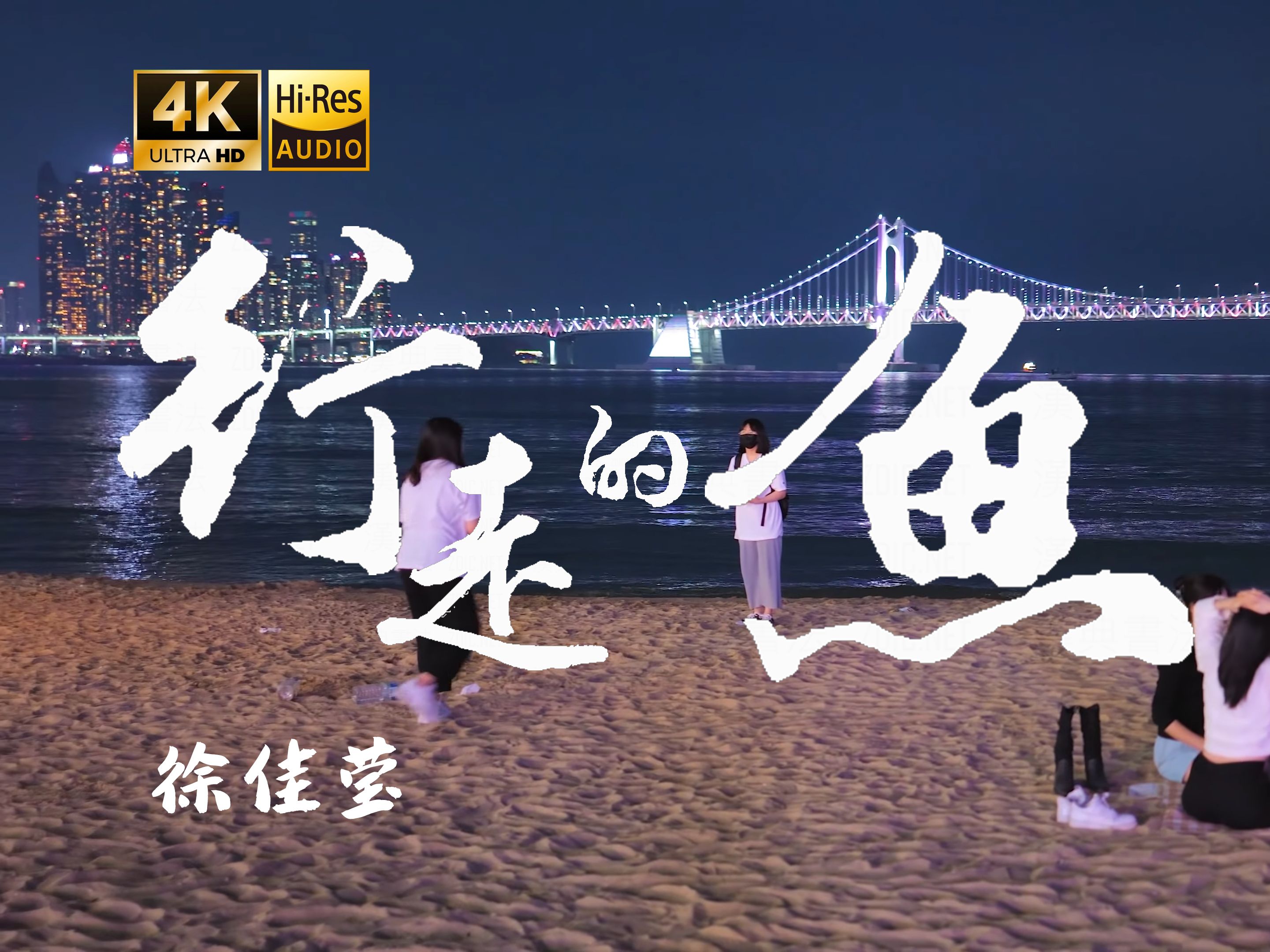 【4K Hi-Res】行走的鱼-徐佳莹 拉扯得很痛吧-你去巴黎我在北京-你去巴黎我在北京-哔哩哔哩视频