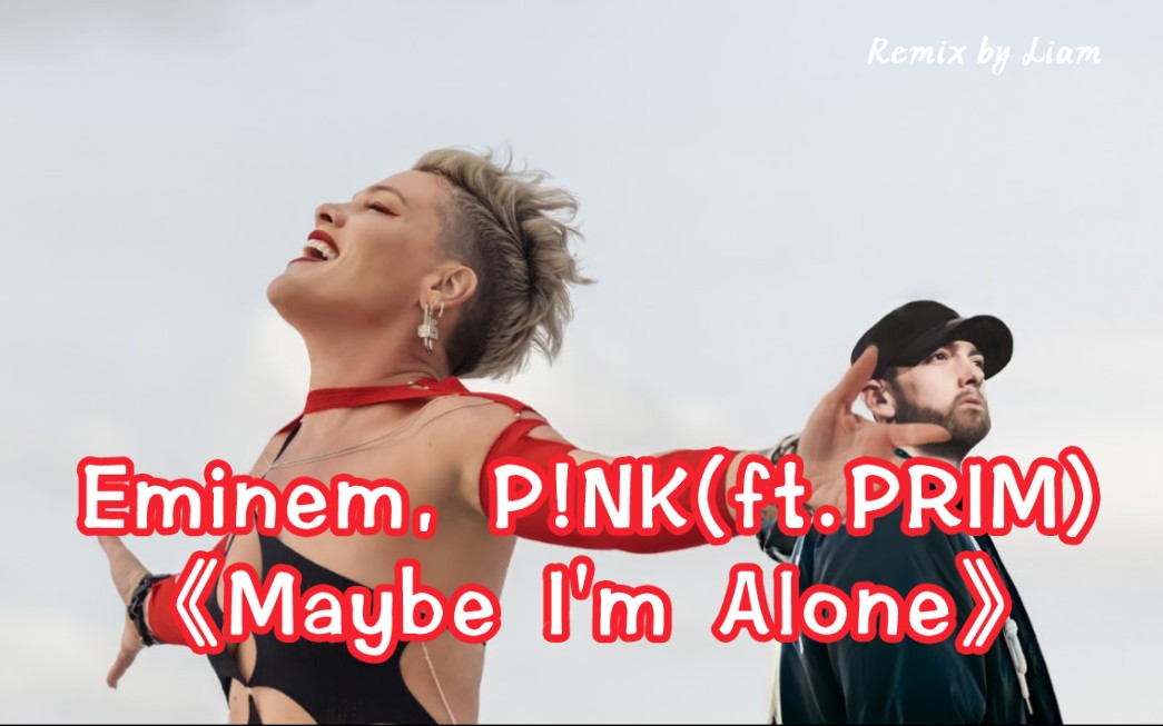 [图]Eminem, P!NK - Maybe I'm Alone (ft. PRIM) Remix by Liam