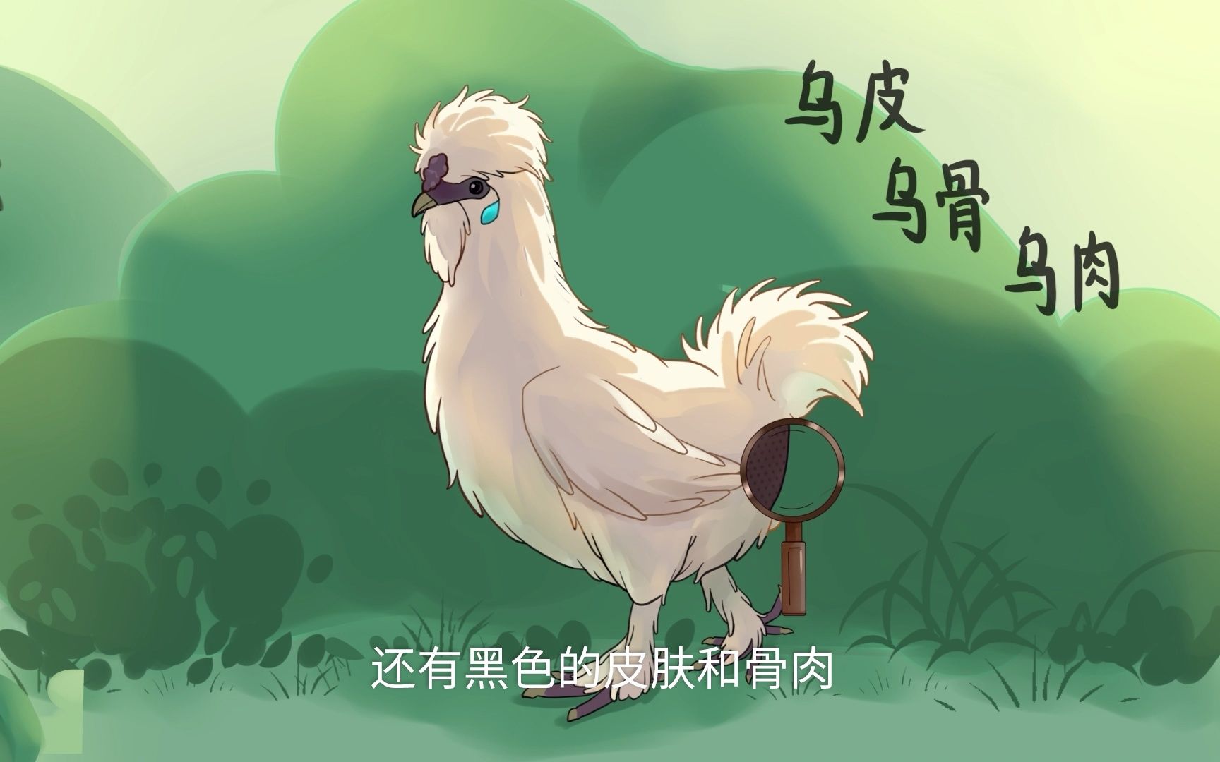 好学微客小客为泰和乌鸡量身打造的原创动画片燃情上线!