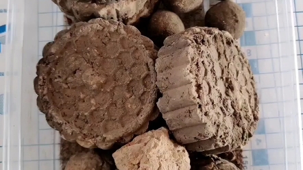 吃烟熏土看简介异食癖不可食用请勿模仿