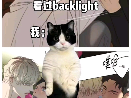 backlight背光无圣光无删减版本哔哩哔哩bilibili