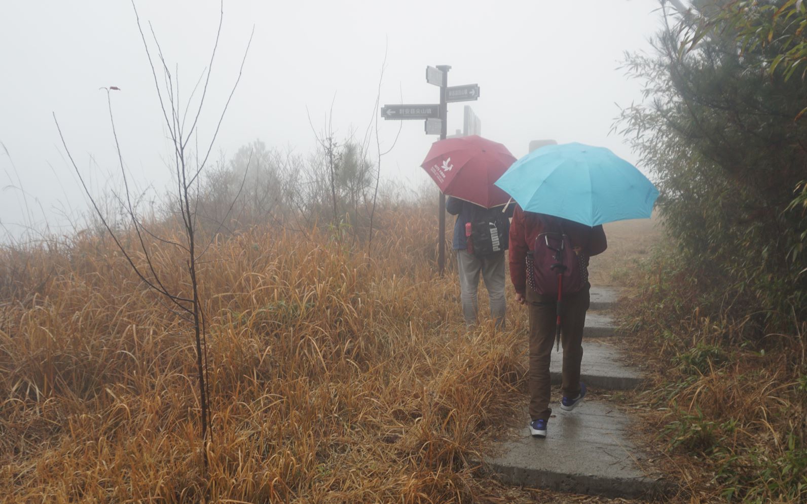 20220126天台三州潭风景区哔哩哔哩bilibili