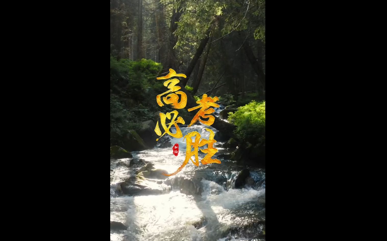 希望这份风景能减轻你的压力,带给你好运哔哩哔哩bilibili