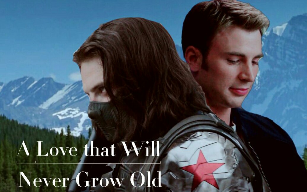 [图]【盾冬】A Love That Will Never Grow Old 盾冬百日产粮活动