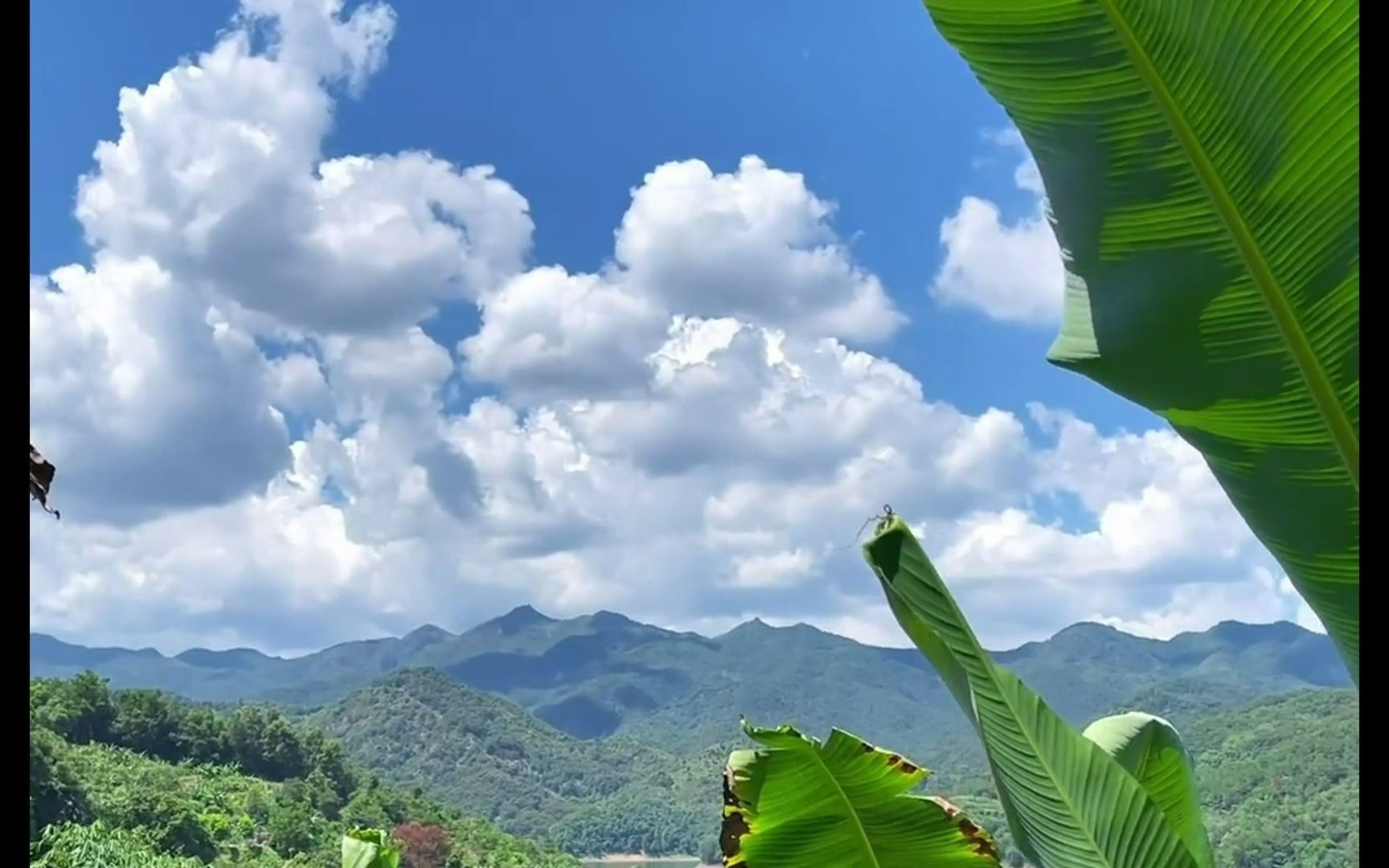 [图]"是你记忆中的夏天吗”