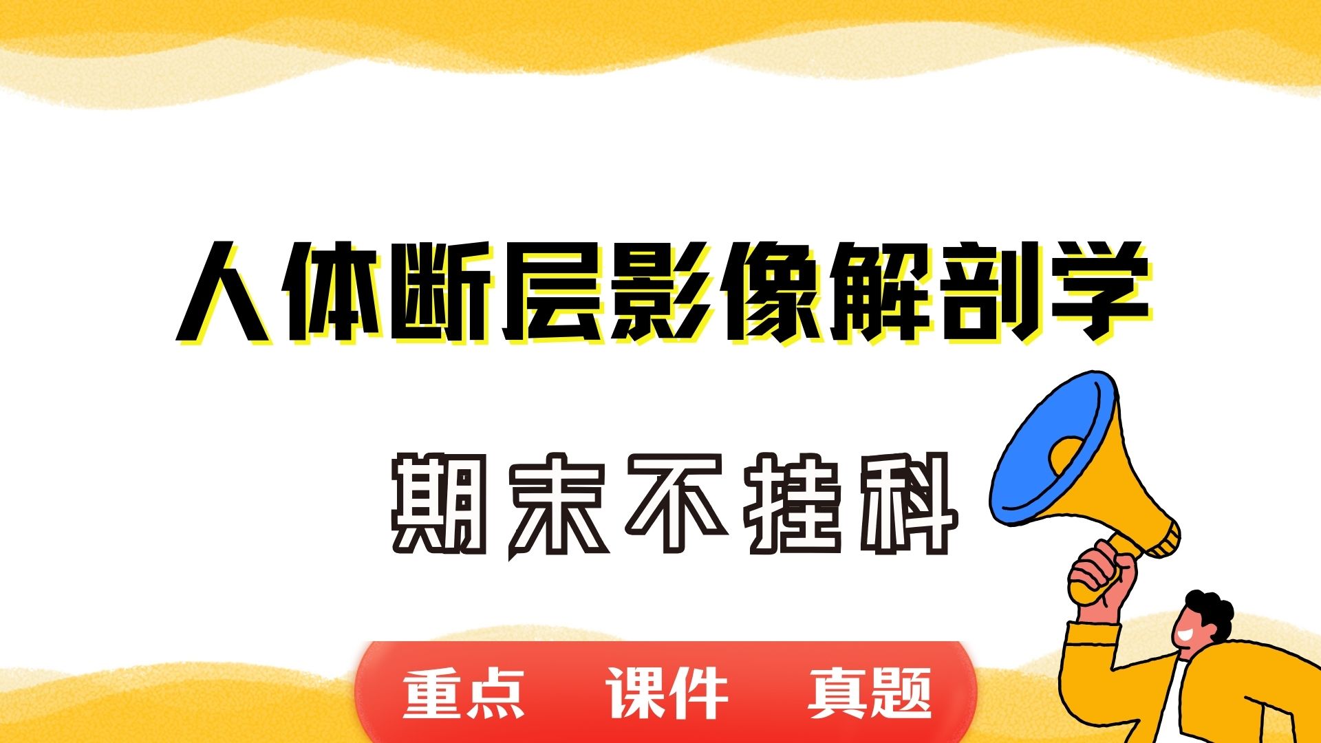 [图]《人体断层影像解剖学》期末考试重点总结     人体断层影像解剖学期末复习资料+题库及答案＋知识点汇总＋简答题+名词解释