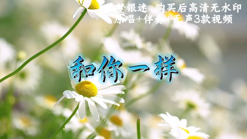 歌曲 和你一样 李宇春 配乐伴奏mv节目演出舞台背景led大屏幕视频