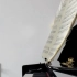 车尔尼599钢琴初步教程599第23条