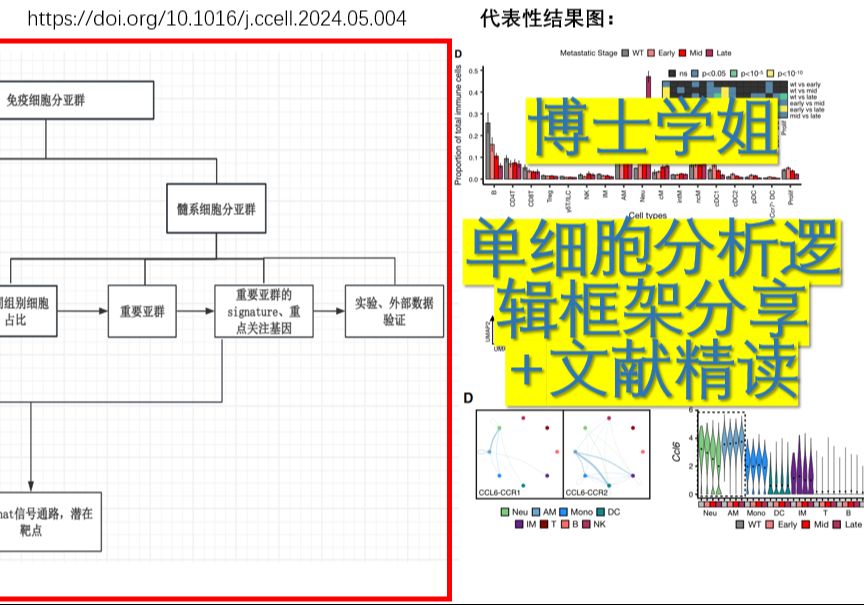 德phd学姐分享单细胞文献逻辑拆解+总结7哔哩哔哩bilibili