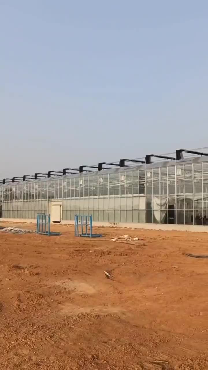 智能温室大棚承接,安装简单方便,节省您的时间和精力.