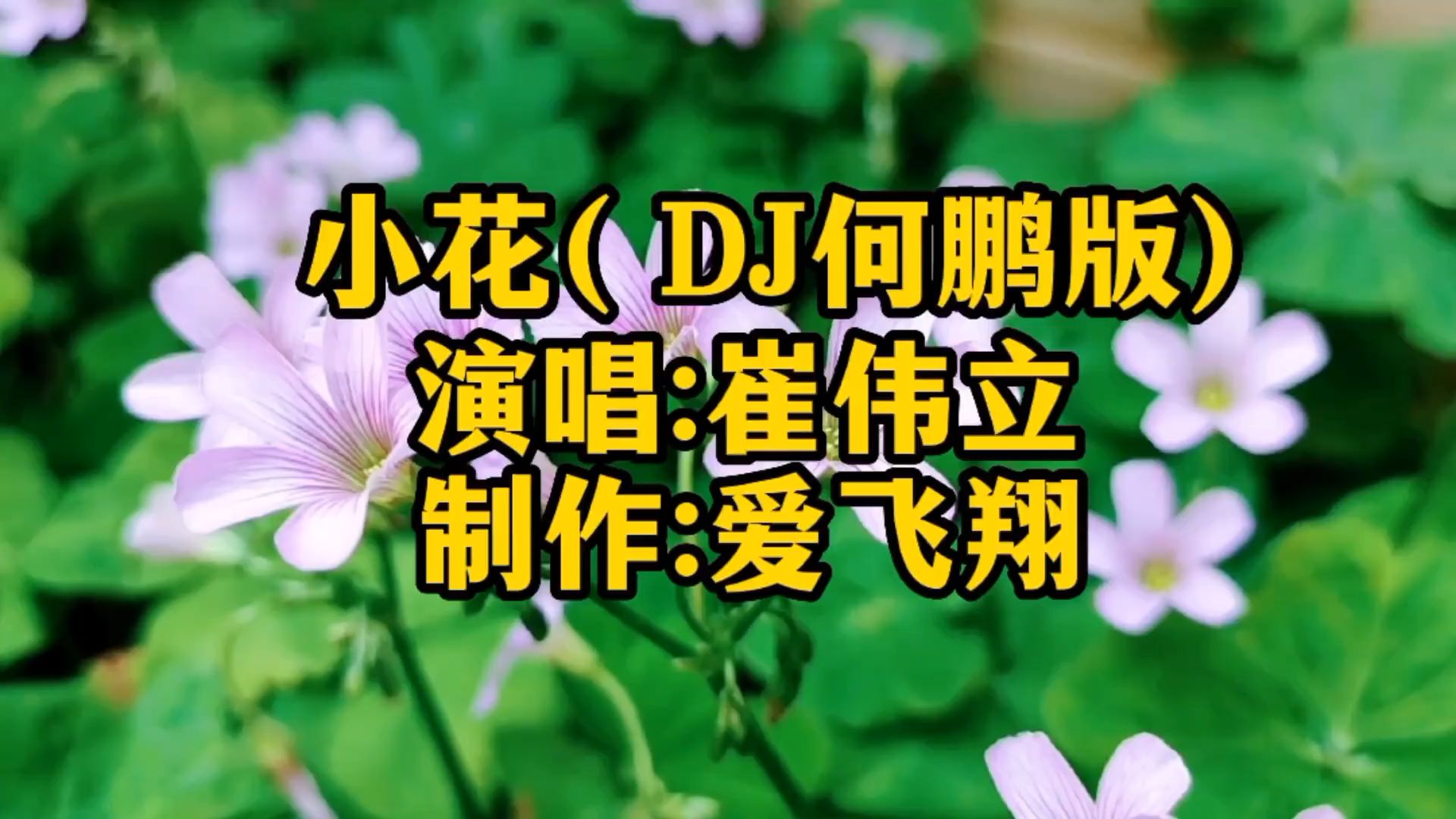 崔伟立一首《小花(dj何鹏版)》经典老歌,好听极了